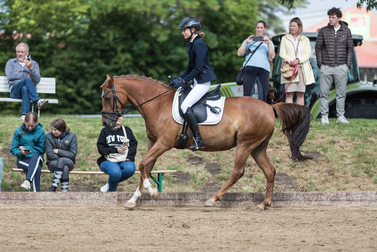 Bild 366 - Pony Akademie Turnier